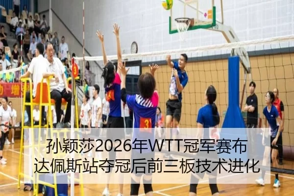 sun-ying-sha-nian-guan-jun-sai-bu-da-pei-si-zhan-duo-guan-hou-qian-san-ban-ji-shu-jin-hua-2-273.jpg